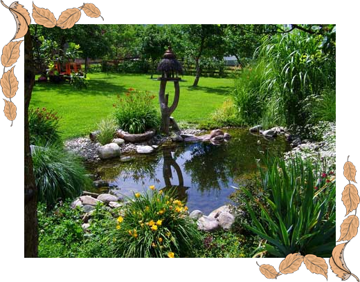 Garden pond lined with underlay and pond liner